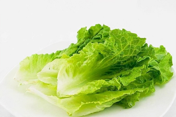 5_副本.jpg